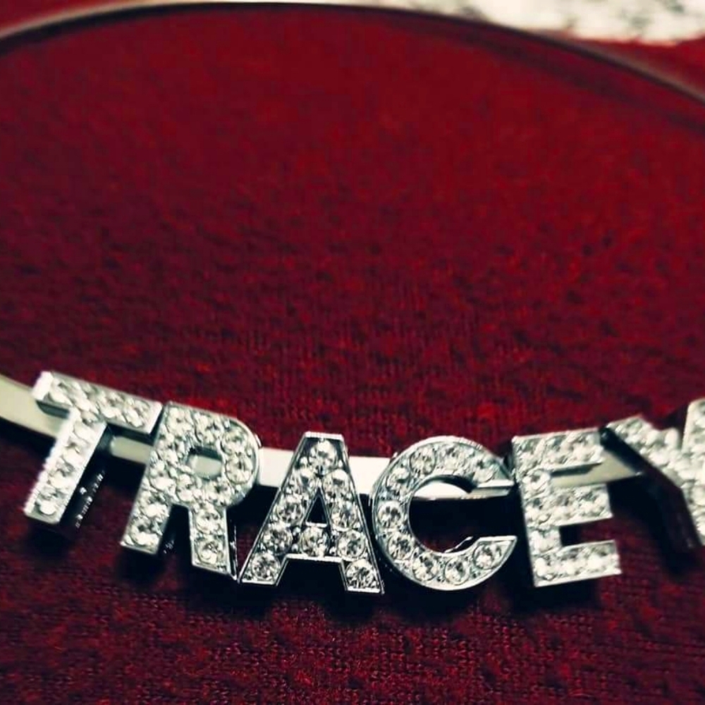 Custom made stainless steel choker